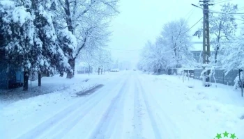 Dobrotești - Dobrotești