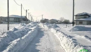 Domnești - Domnești