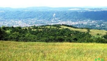 Domnești - Domnești
