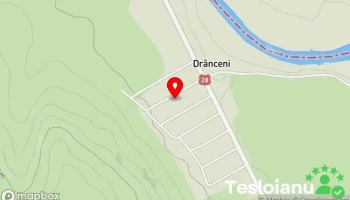 Drânceni - Drânceni