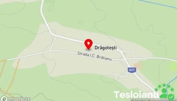 Drăgotești - Drăgotești