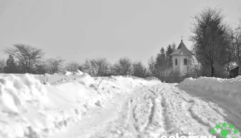 Drăgușeni - Drăgușeni