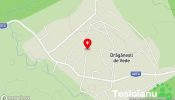 Drăgăneşti de Vede - Drăgăneşti De Vede