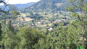 Dulcea - Dulcea