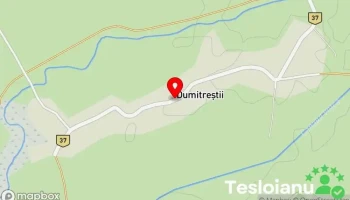 Dumitreștii - Dumitreștii