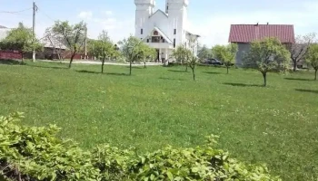 Dănești - Dănești