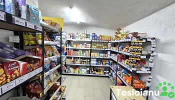 E-shop Market Place Srl - Albeștii Pământeni