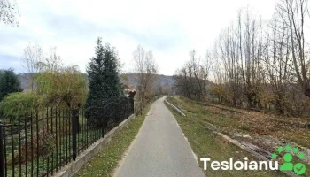Eşanu Nicoleta - Bughea De Jos