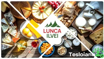 Fabrica de Brânzeturi Lunca Ilvei - Lunca Ilvei