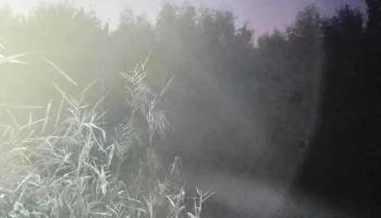 Falaștoaca - Falaștoaca