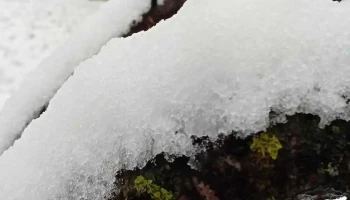 Farinsan Sa - România