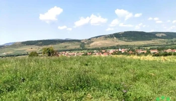 Feliceni - Feliceni