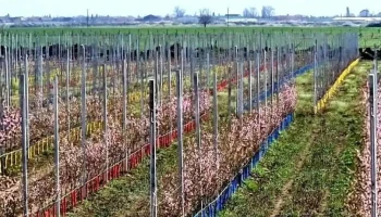Ferma Cenad S.r.l - Cenad
