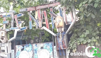 Fierbinți-Târg - Fierbinți-Târg