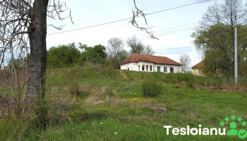 Florești - Florești