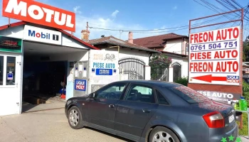 Freon Alexandria Mobil Serv Srl - Alexandria 140009