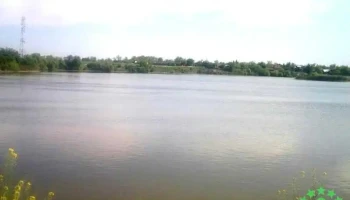 Fulga de Jos - Fulga De Jos