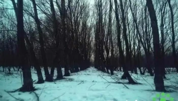 Făurei-Sat - Făurei-Sat