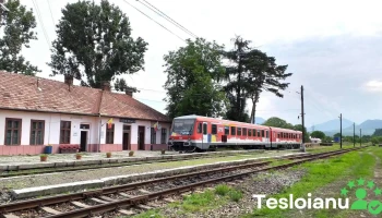Gară Susenii-Bîrgăului - România