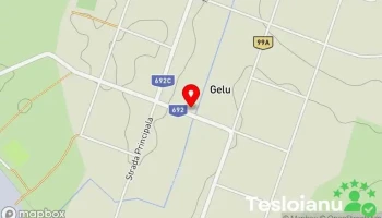 Gelu - Gelu