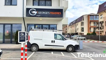 George's Fisheries - Bragadiru