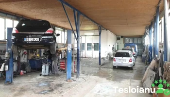 Gevisil - Șelimbăr 557260