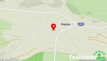 Gogoşu - Gogoşu
