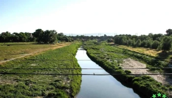 Golești - Golești