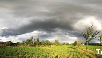 Găvojdia - Găvojdia