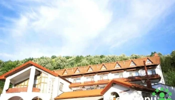 Hotel McPietroasa - Haleş