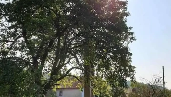 Husnicioara - Husnicioara