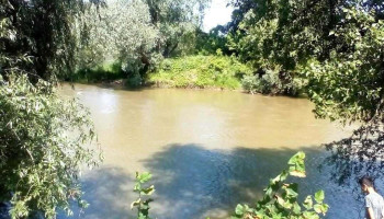 Igriș - Igriș