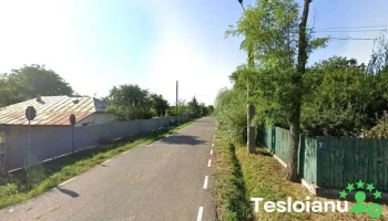 Ionuț service auto - Răchitosu