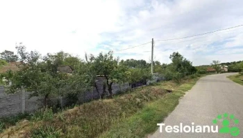 La Curcanu - Burdulești