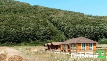 La Căsuțe - Șuncuiuș