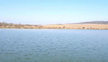 Lac Ciurila Filea2 - Filea De Jos