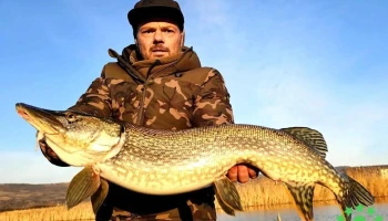 Lac de Pescuit Sarmasag - Club Nautic Denis - Sărmășag