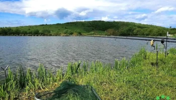 Lac Filea 1 - Comuna Ciurila
