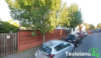 Lacatus alina - Târgu Mureș