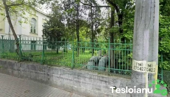 Lacatusu Stefan - Iași