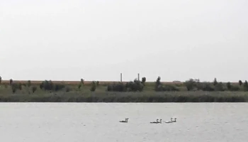 Lacul Amara - Romania