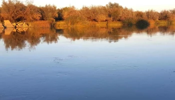 Lacul Bacau Ii - Bacău