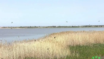 Lacul Bistrețu - Vacio