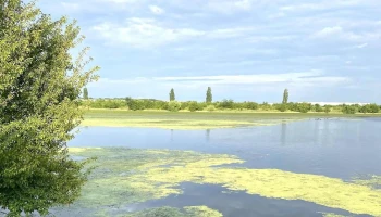 Lacul Chitila - Romania