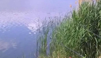 Lacul Cătina - Romania
