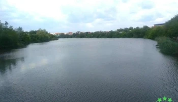 Lacul Dobroești - Romania