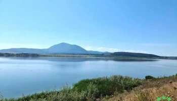 Lacul Dumbrăvița - Dumbrăvița