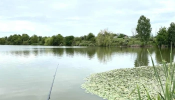 Lacul Oarja - Romania