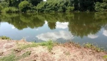 Lacul Oltina - Oltina