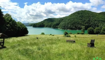 Lacul Paltinu - Parcare&Camping - Teșila